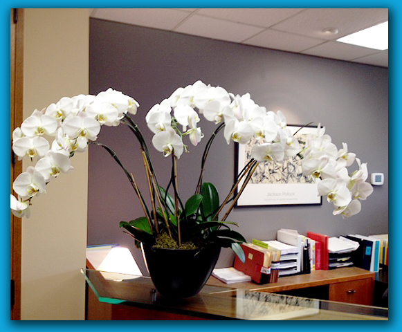 Office Orchid Floral Arrangement 